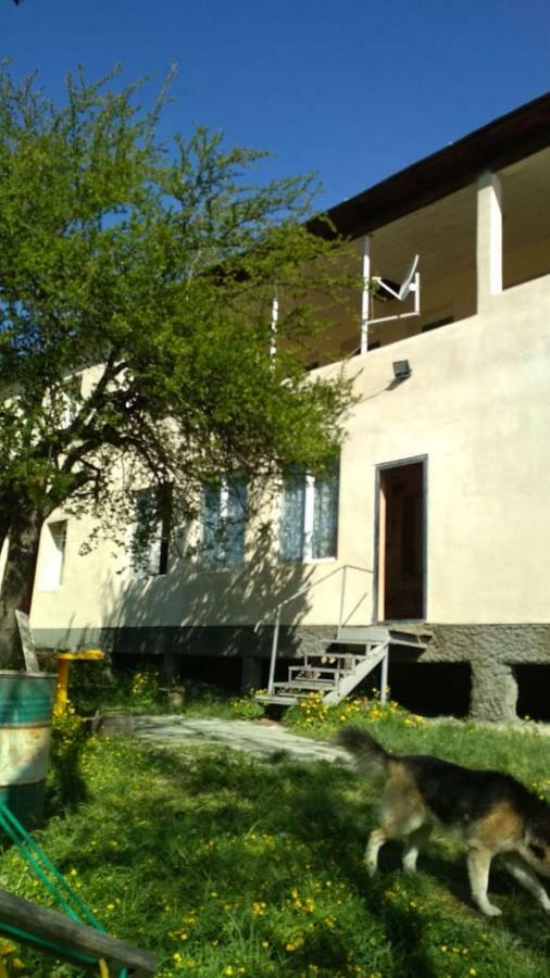 Guest House Katia Mestia Exterior photo